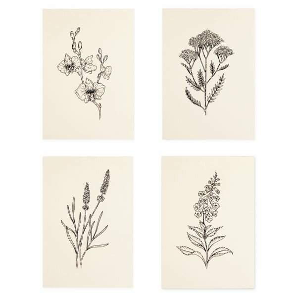 Lucidlines aka Caitlin Thomas Flora