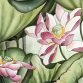 Yue Tu Chinese Lotus Fields