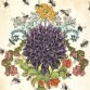 Simone-Clare Hede - Earth