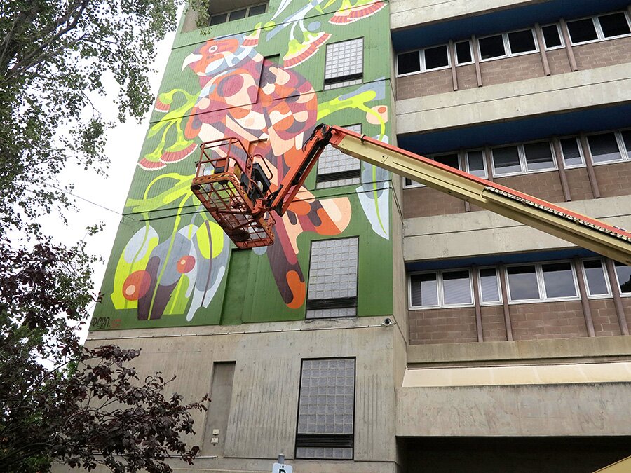 Reka - Melb Poly 2