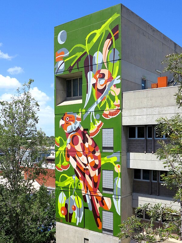 Reka - Melb Poly 5